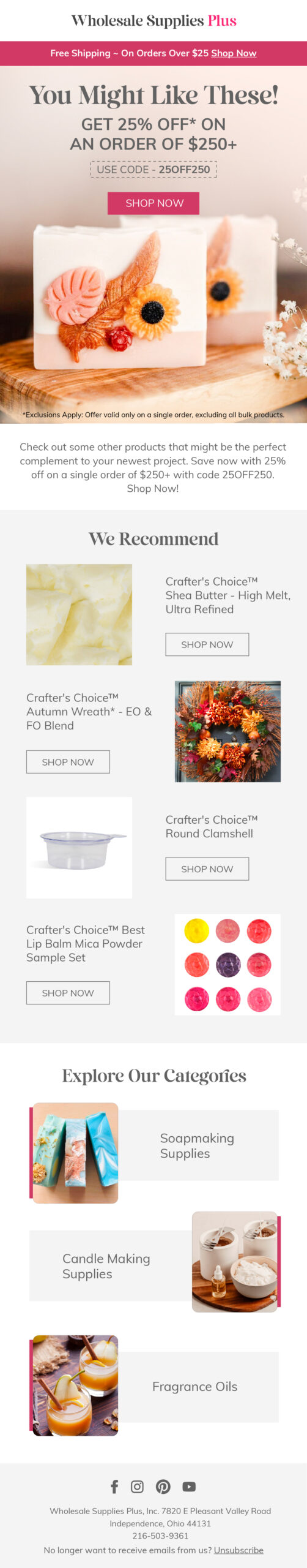 Wholesale Supplies Plus cross-sell email 1 with recommended products