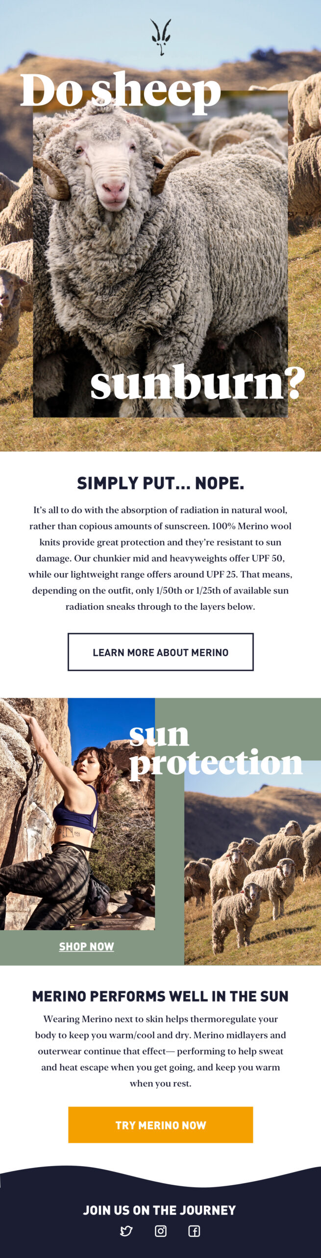 Do sheep get sunburn educational email about sun protection and merino wool