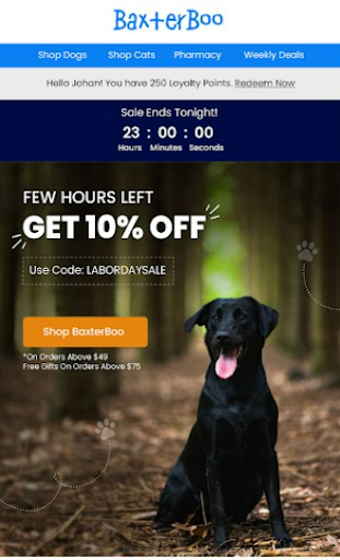 Baxter Boo email offering 10% off with a countdown timer