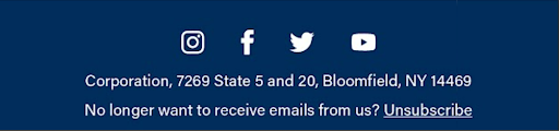 Email footer with social icons, address and unsubscribe link