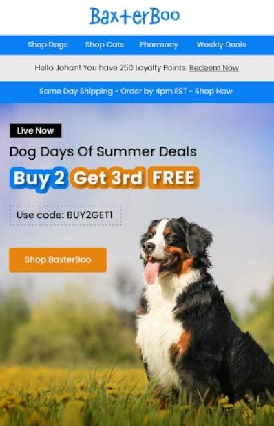 BaxterBoo Dog Days of Summer email offering buy 2 get 3rd free with code BUY2GET1