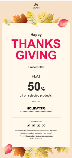 Thanksgiving email with a flat 50% off selected products