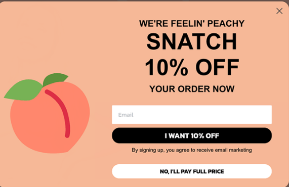 Popup offering 10% off your order for an email signup