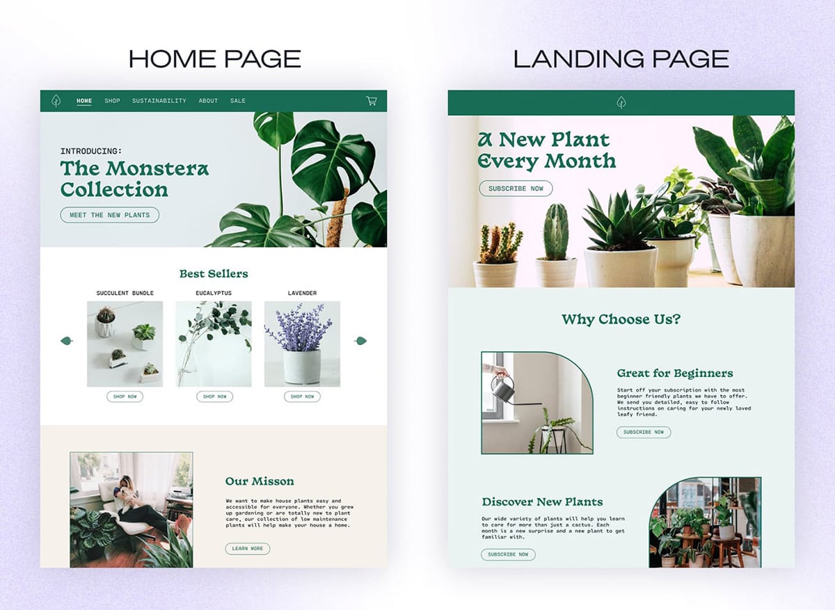 Home page compared with a landing page for a plant store