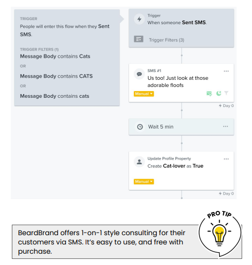 Klaviyo keyword SMS flow reacting to the word cats, with BeardBrand pro tip