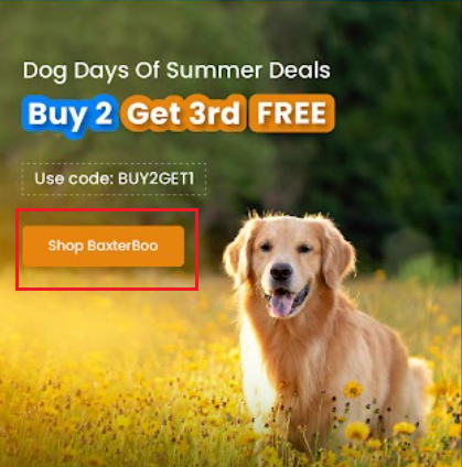 BaxterBoo email banner with buy 2 get 3rd free and a highlighted Shop BaxterBoo button