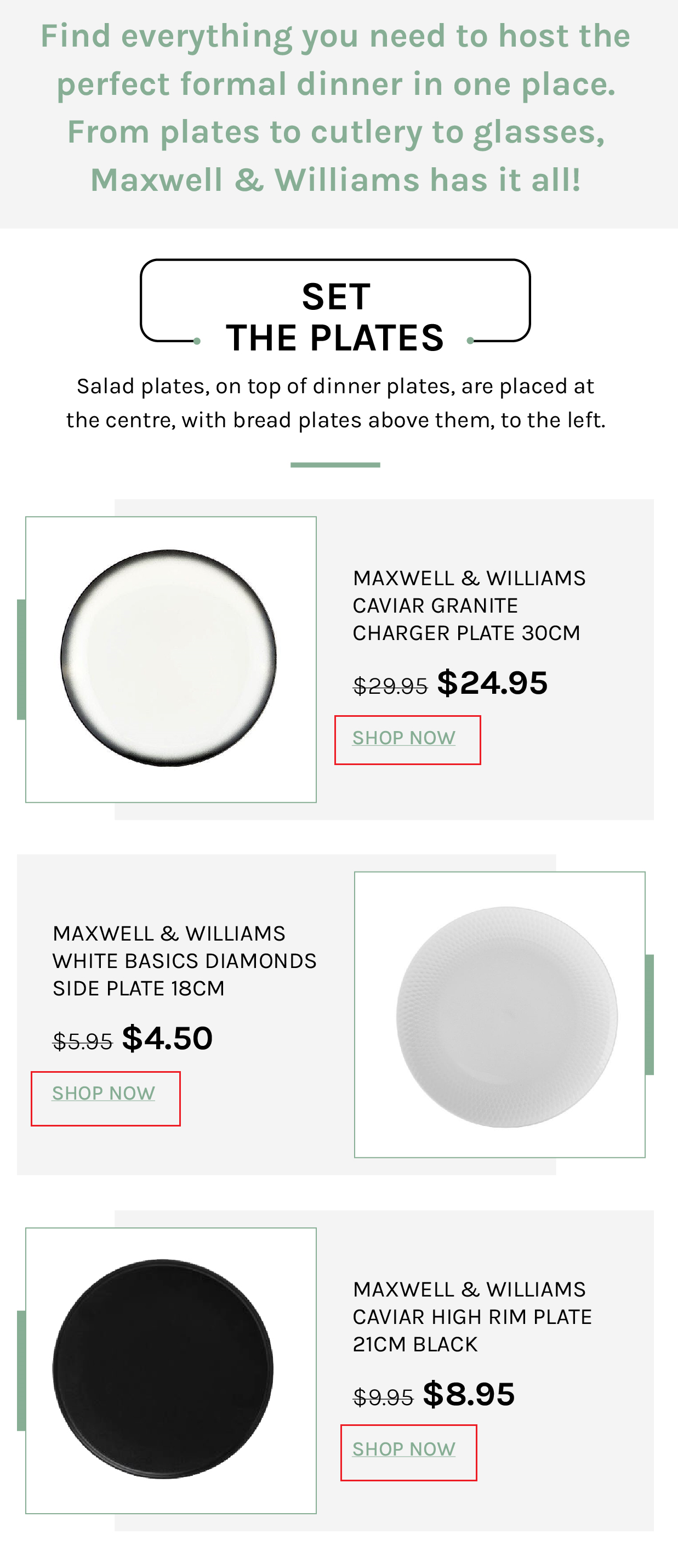 Maxwell and Williams plates email with secondary shop now call to action buttons