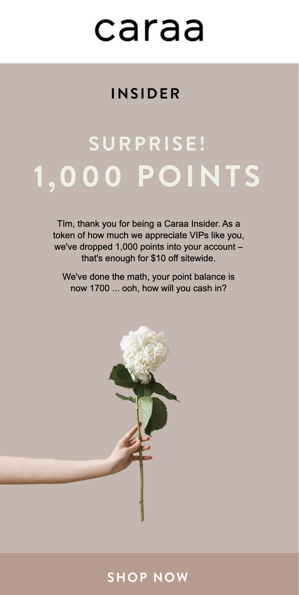Caraa email giving a loyal member 1,000 surprise points