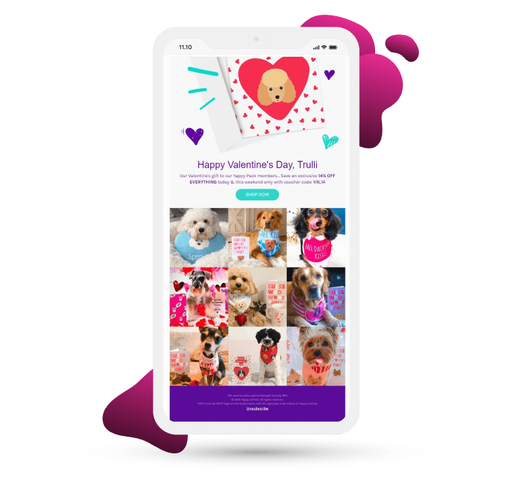 Yappy Valentines Day email featuring user-generated photos of pets