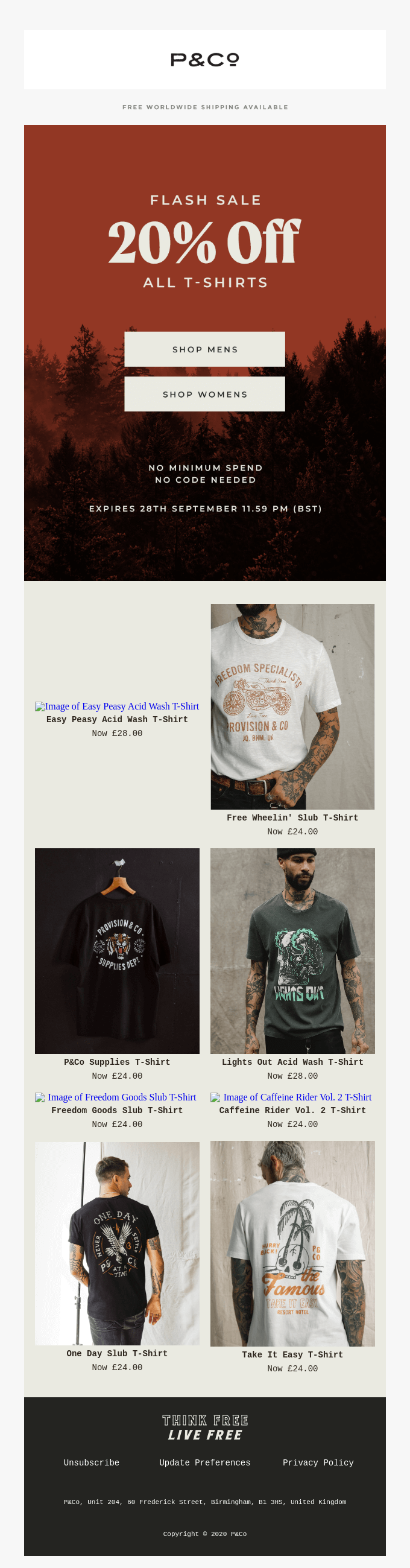 Flash sale email offering 20% off all t-shirts with apparel grid