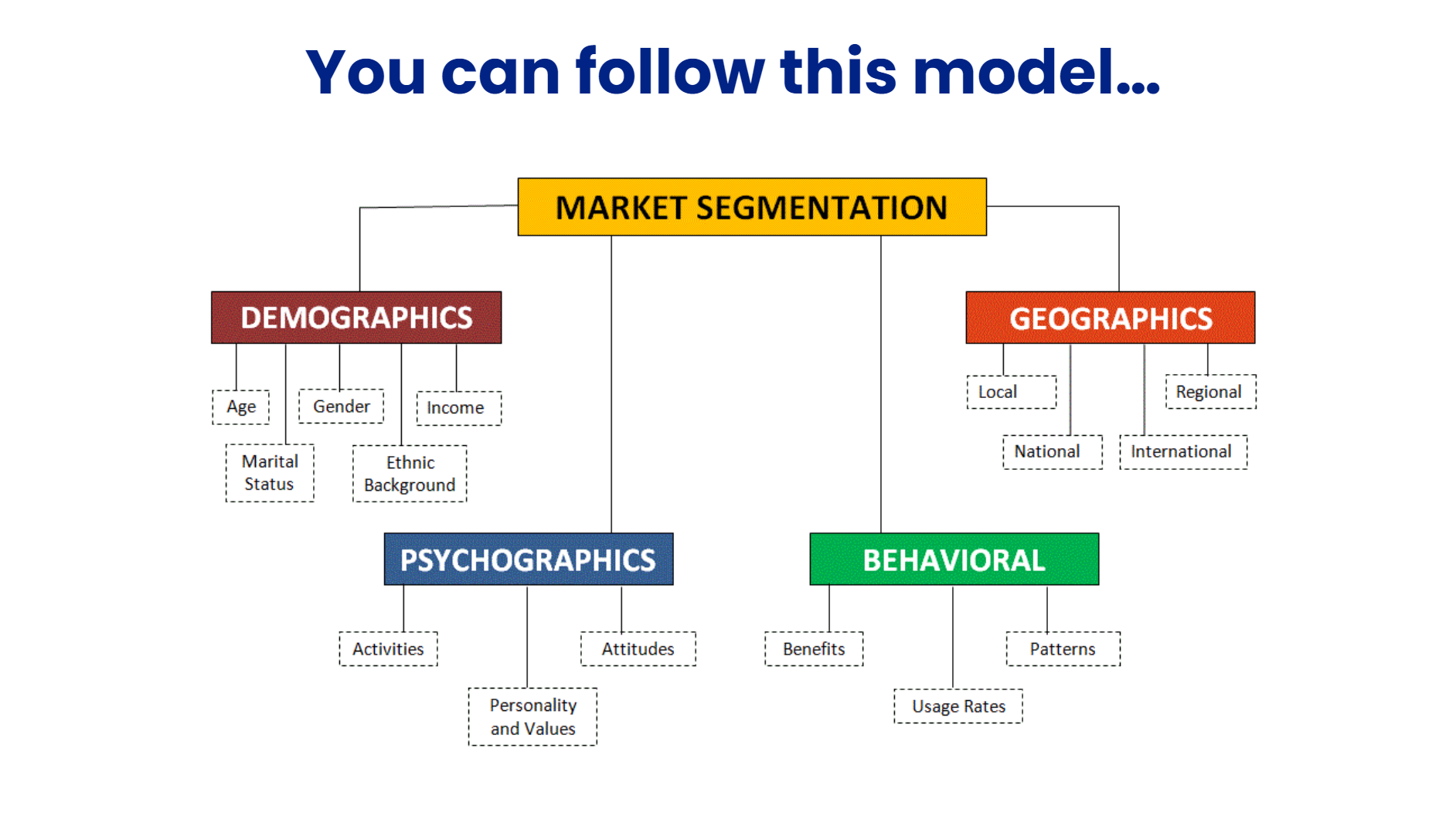 Market segmentation model by demographics, geographics, psychographics and behavior
