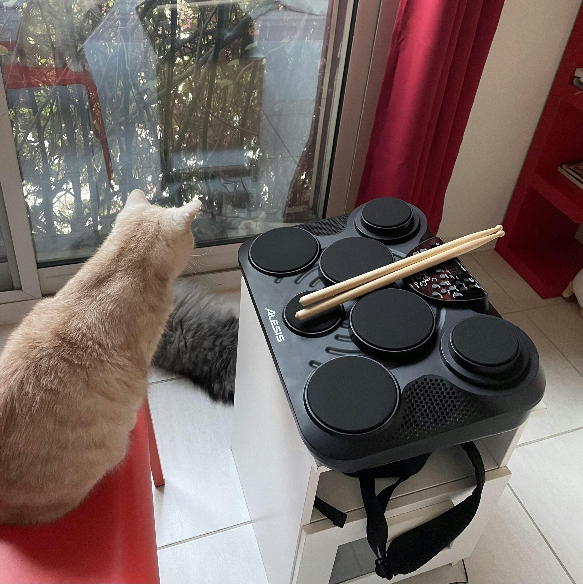 Electronic drum pad with drumsticks next to a cat by a window