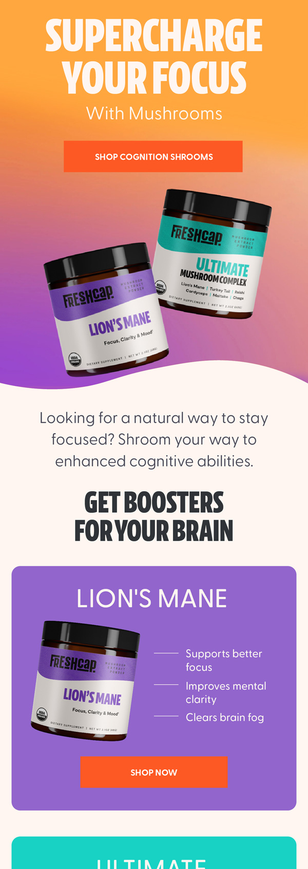 FreshCap Lion's Mane focus campaign email
