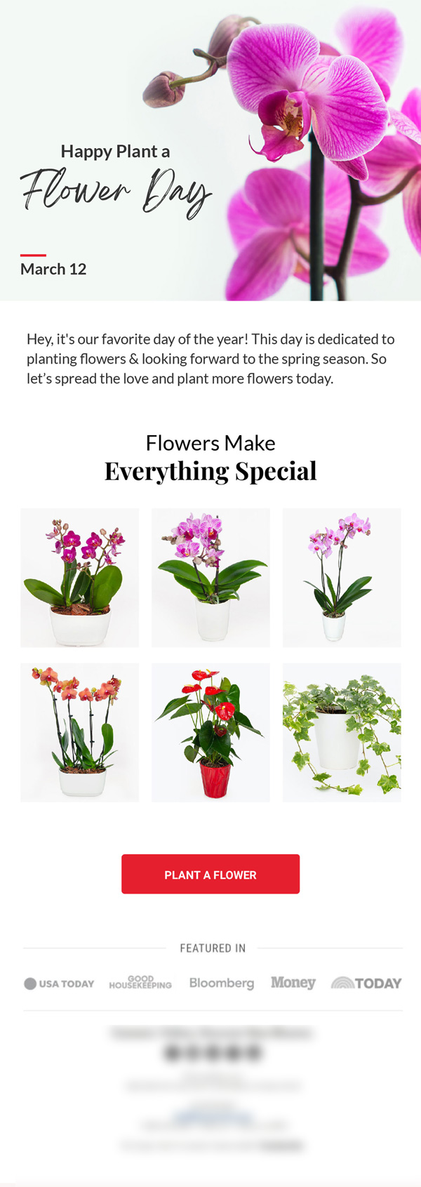 BloomsyBox Plant a Flower Day campaign email