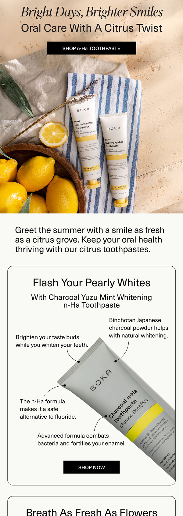 Boka citrus toothpaste summer campaign email