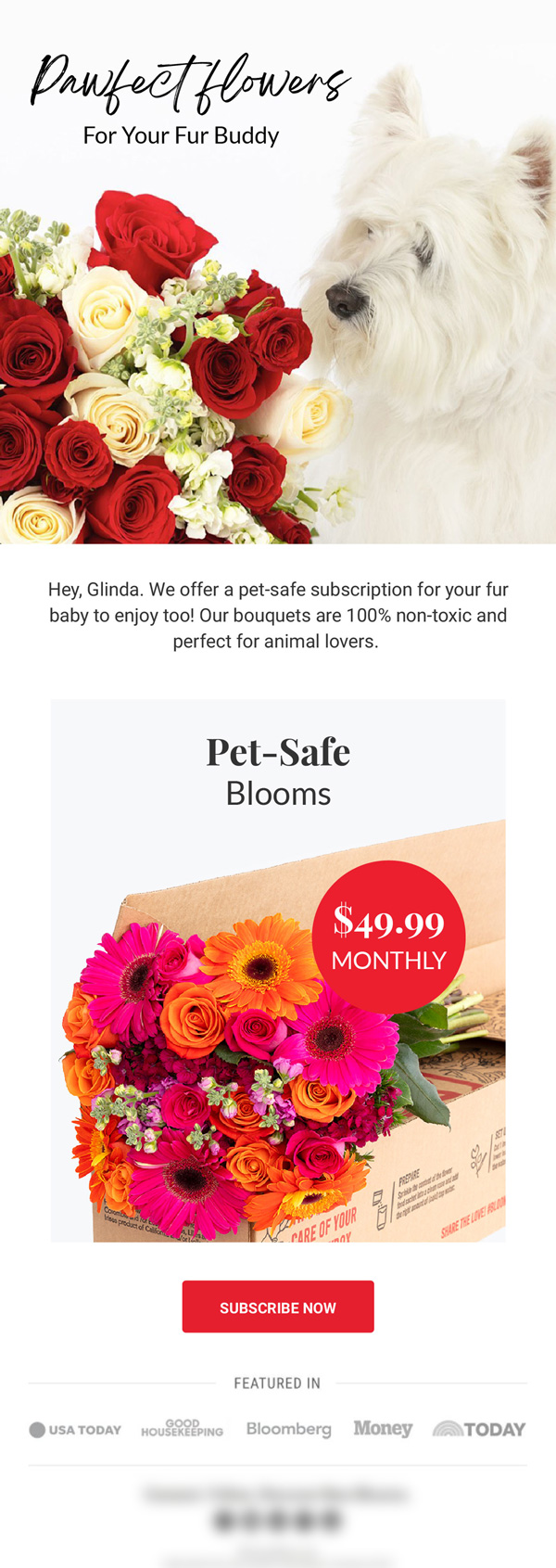 BloomsyBox pet-safe blooms campaign email