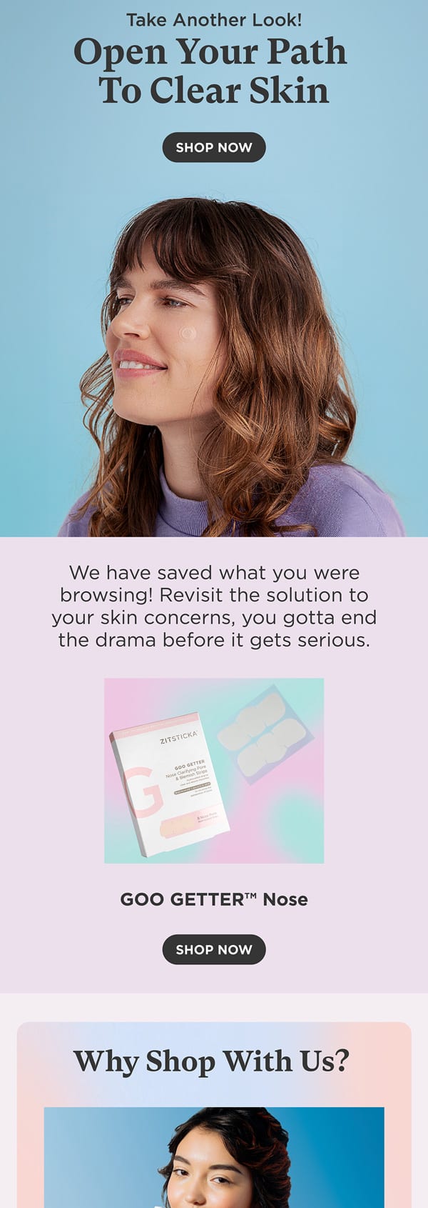 ZitSticka browse abandonment email