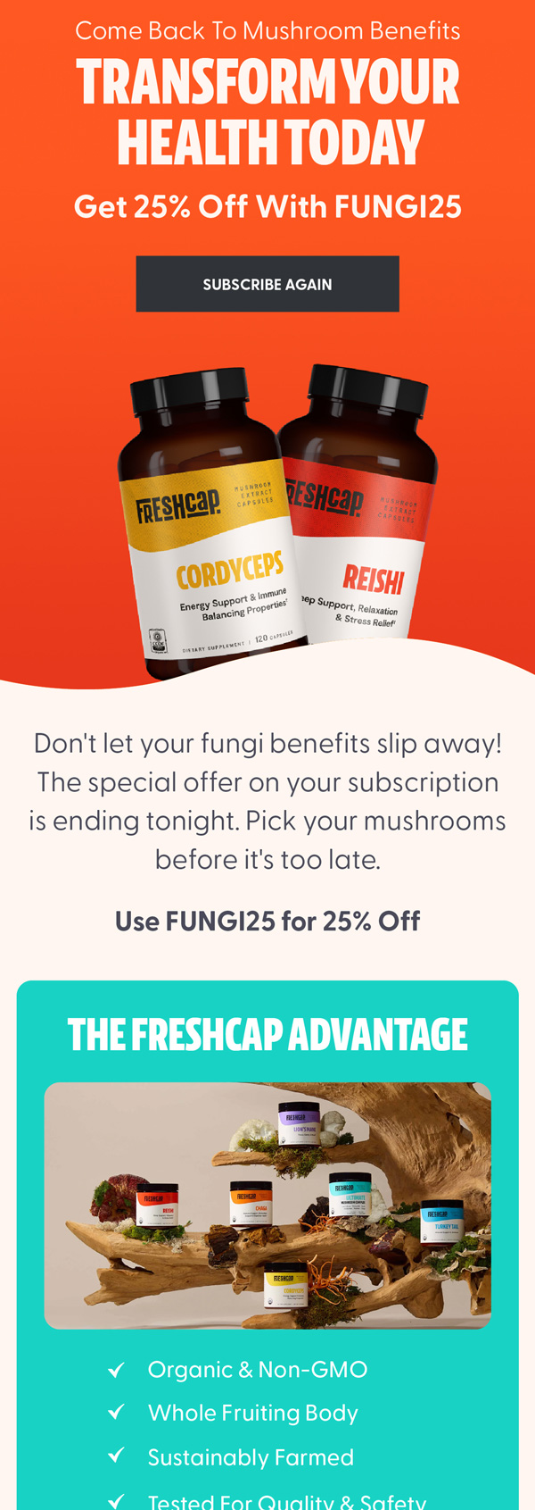 FreshCap canceled subscription email with 25% off