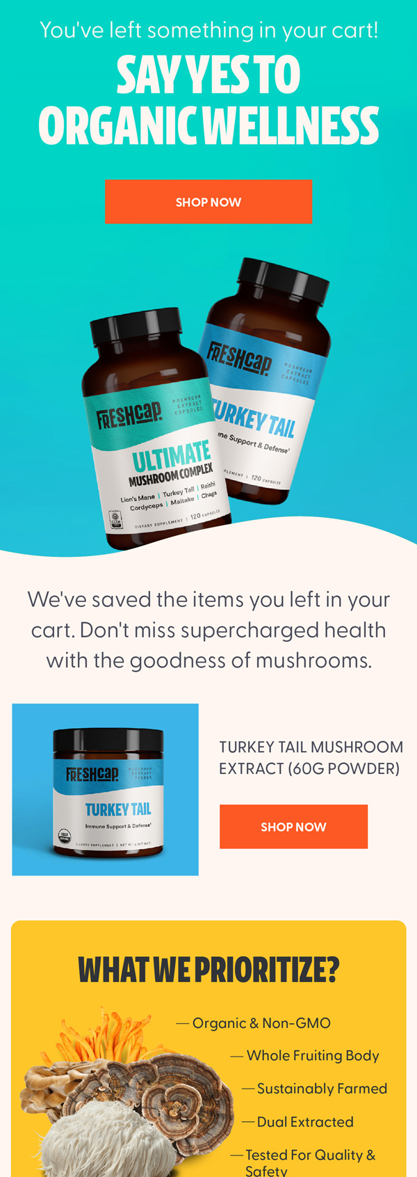 FreshCap cart abandonment email