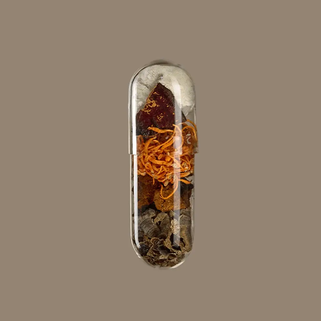 FreshCap capsule filled with dried mushrooms