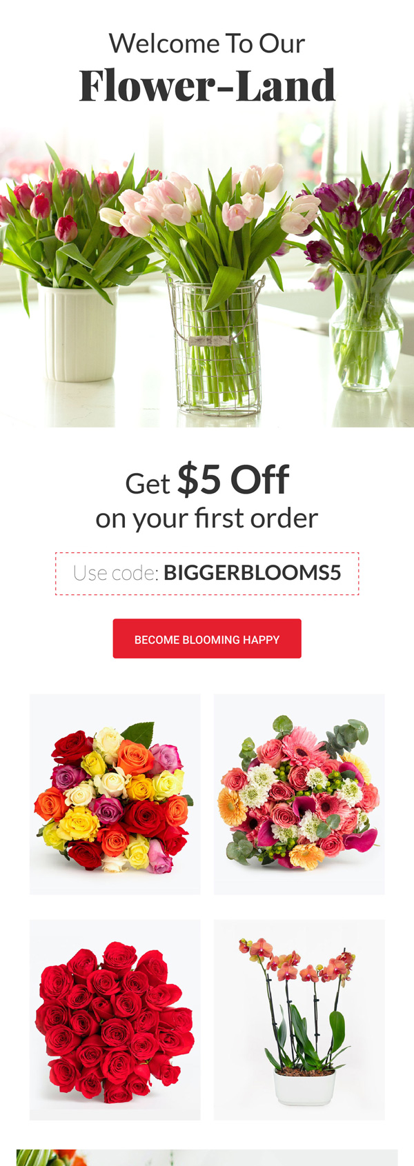 BloomsyBox welcome email with $5 off the first order