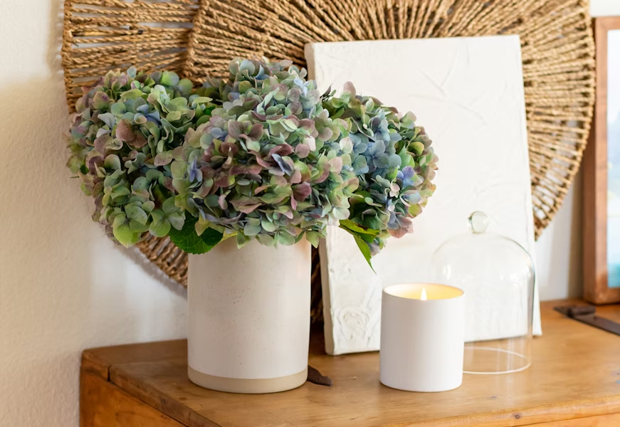 BloomsyBox hydrangeas in a white vase