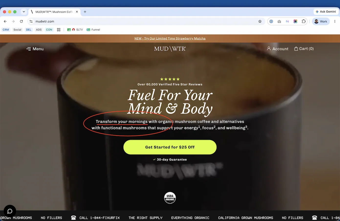 Mud Wtr homepage: Fuel For Your Mind and Body